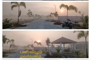 WhatsApp Image 2025-08-08 at 10.59.19 AM